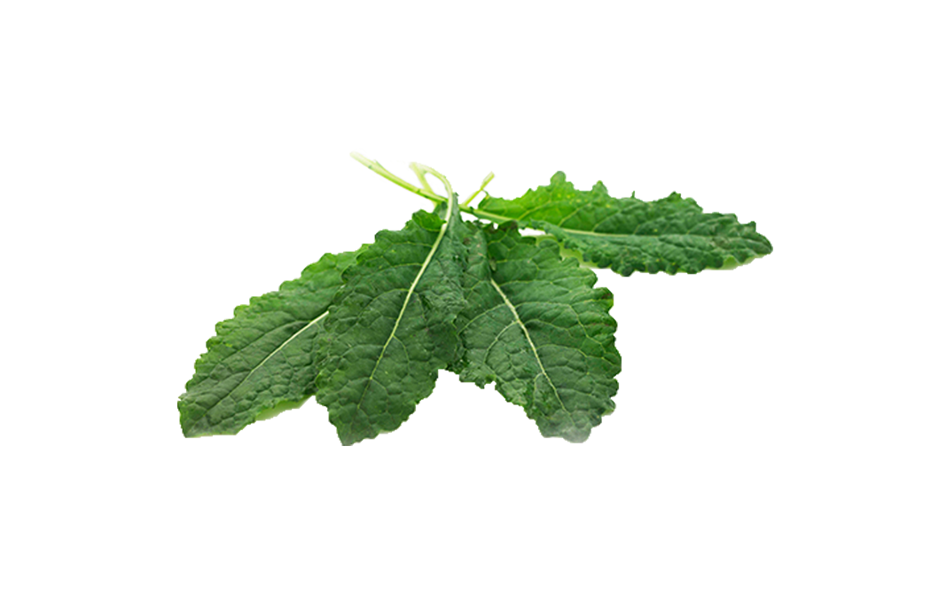 Simply Fresh Kale-LG    Box  250 grams